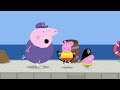 🔴 Peppa Pig | Full Episodes | All Series | Live 24/7 🐷 @Peppa Pig - Official Channel Livestream