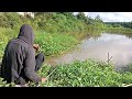 Mancing Ikan Nila Umpan Lumut