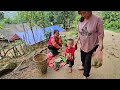 Single mother - harvesting cucumbers to make ends meet #hoangthidinh  #duachuot