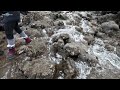 Walking On Newest Lava In Iceland! A Visit on The Eruption Site. Lava Close-ups! March 1, 2024