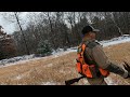 Pheasant hunt in Pennsylvania 2021