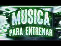 MÚSICA PARA ENTRENAR (Electro Pop) - David Guetta, Black Eyed Peas, Pitbull, Martin Garrix, LMFAO