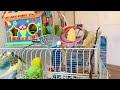 4K You will love it!! Happy parakeets clip compilation with musical tune. #budgies #parakeet #parrot