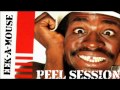 Eek A Mouse - Peel Session