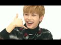 Stray Kids Funny Moments I can't get out of my head [Try Not to Laugh] part 2