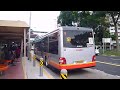 SMRT Bus livery transitioning