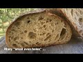 WILD CRUMB or EVEN CRUMB: How to get them. | By JoyRideCoffw