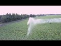 Reinke Irrigation