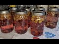 Simple 3 Ingredient Grape Juice ~ Water Bath Canning~ Self Reliance Skill