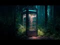 Enchanted Fairy Portal | Fantasy Forest Music | Unicorn & Fairies | For Sleep, Study or Relaxation