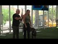 How To Create Food Boundaries with Your Dog (Live Dog Demo with Cesar Millan)