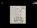 The Voynich Manuscript with Lisa Fagin Davis