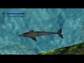 Being ecco the dolphin confusedly for 10 minutes