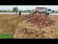 Ultimately Skill Operator Use Poor Dozer Pushing Dirt Filling The Land Up