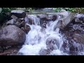 Calming Forest Stream Sound. Flowing Water, Relaxing Nature Sounds. White Noise for Sleeping, Study