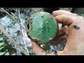 FOUND SOLDIERS OF THE SECOND WORLD WAR IN THE SWAMPS / WW2 METAL DETECTING