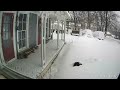 Cat dives into deep snow chasing chipmunk