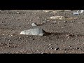 NASA Mars Rover Sent Super Spectacular Footage of Mars' Santa Cruz Hill - Perseverance Rover