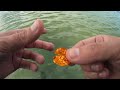 Metal Detecting in the WATER! | They are Losing Their Jewelry! | Minelab Equinox 600 Metal Detector