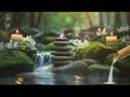 Bamboo Water Fountain & Chirping Birds 🌿 Spa music, meditation music, yoga 🌿 Helps relax the mind