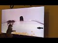 Cat chasing mouse on TV / Cat mouse games