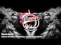 [Minimal] Martin Garrix -  Lions In The Wild (Jack McCoy x Connor Leahy Remix)