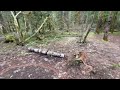 Video Tour of Panther Creek Campground, Washington (PNCVT)