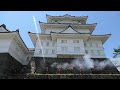 Samurai Guns at Odawara Castle