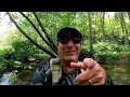 Gunpowder River Fly Fishing for Wild Brown Trout July 31, 2024