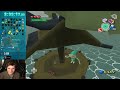 Wind Waker Randomizer BUT 5000 Viewers try to Stop Me!