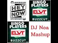Hey Now Buzzcut -  Bingo Players x Martin Solveig (DJ Noa Mashup)