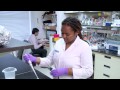 Outsmarting Ebola Virus: Innovative Research on Treatment