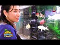 Loving Fish Cambodia / Tel & Telegram : 098 789 989 / 011 716 688