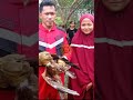 PENYELAMATAN ELANG di Pohon Kelapa oleh Damkar Makassar TOP