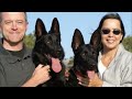 Dog Wont's Stop Chasing Shadows! 👀 | Dog Whisperer With Cesar Millan