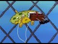 one of the girls - the weeknd |    Spongebob ai cover |slowed + reverb