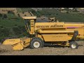 HARVESTING WHEAT IN EXTREME HILL | NEW HOLLAND AL59 COLLINA PLUS + MASSEY FERGUSON 7495