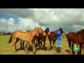 BARBADOS (Las Perlas del Caribe)  -  Documentales