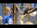 Isabella and Savannah feed a toucan.