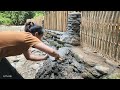 How to make a simple path for ducks to go up and down - Lý Thị Viện