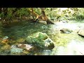 Beautiful Relaxing Morning Music For Stress Relief - Wake Up Happy & Positive Energy