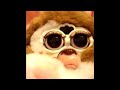 My Gizmo Furbys:Video complication