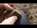 Amazing Coins On A Quiet Field | Metal Detecting UK | Norfolk England | Minelab Manticore | #history