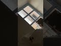 Viral Video Shows Man Creepily Staring Through Woman's Window