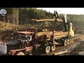 Extreme Dangerous Fastest Big Chainsaw Cutting Tree Machines
