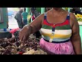 Part 2   LookAt Fish  🐠 Monrepose Market 👀Guyana
