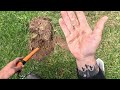 Minelab Manticore & Xp Deus 2 Tearing up a Trashy Park #metaldetecting