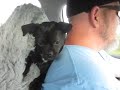Drive  with Snuggles