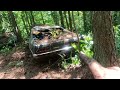 Are they worth saving? I found a 1970.5 Ford Falcon and Torino sitting in the woods.  Muscle cars