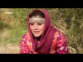 دیگدان و تنور - کلوخی مرغ در بامیان / Afghan Street Food - Cooking Delicious Chicken Qolokhi